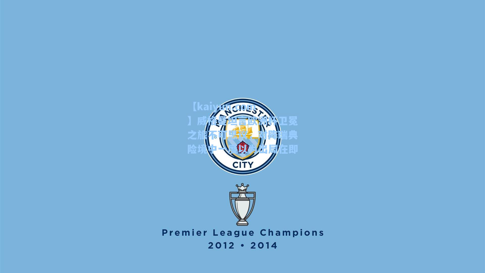 威格曼坦言欧洲杯卫冕之旅不可思议，对阵瑞典险境中一度以为出局在即