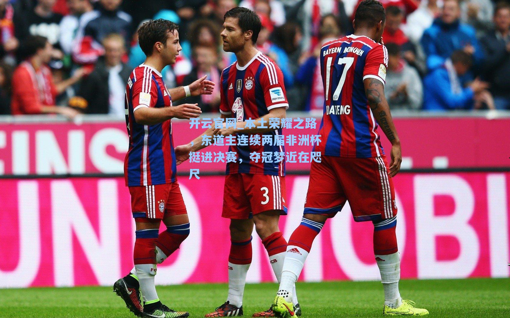 本土荣耀之路，东道主连续两届非洲杯挺进决赛，夺冠梦近在咫尺