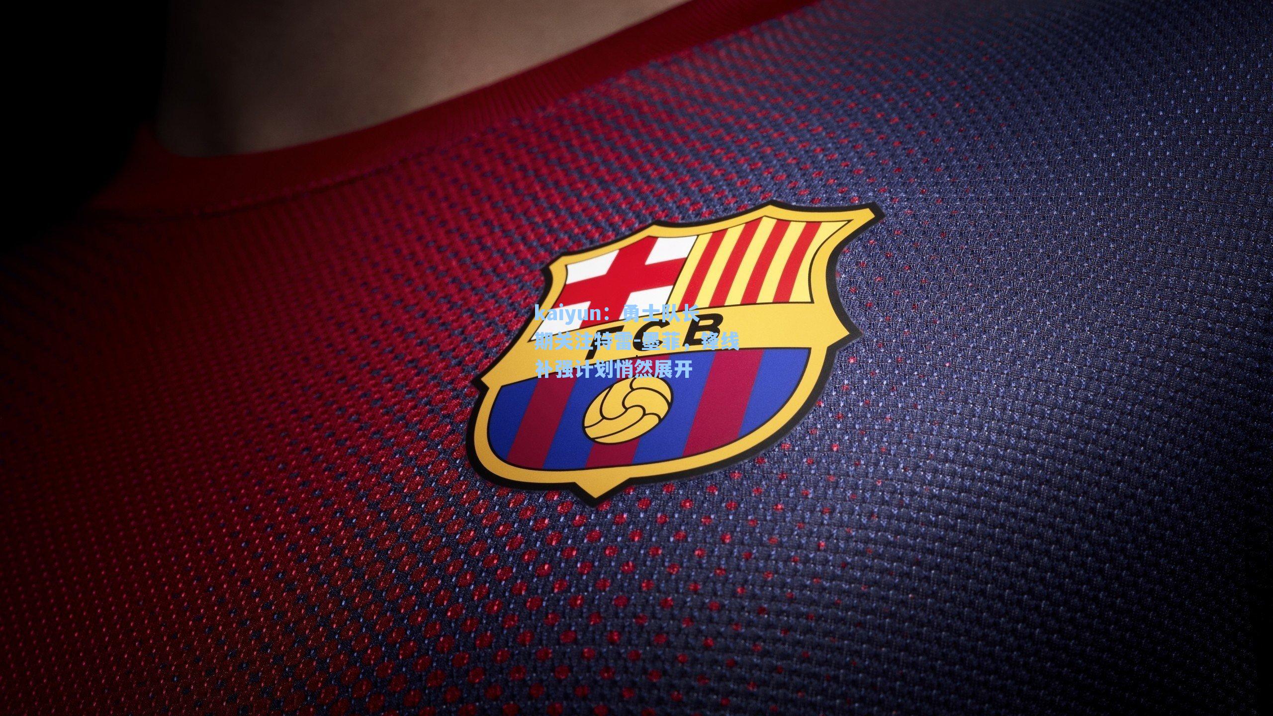 勇士队长期关注特雷-墨菲，锋线补强计划悄然展开